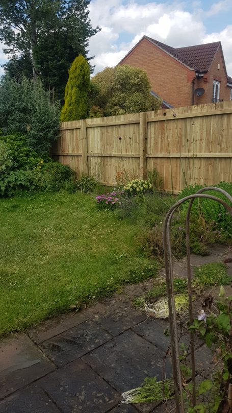 Garden with greenery, flowers, and a wooden fence against a house in the background.