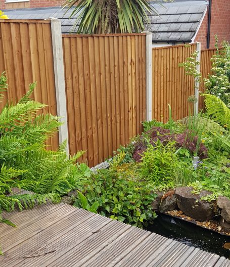 Lush garden with ferns, a pond, and a slatted wooden fence.
