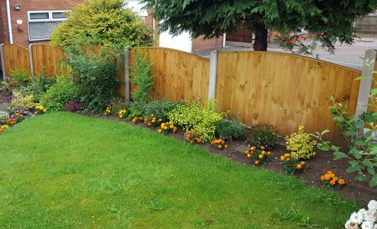 Border of a garden featuring a wooden fence and flowering plants along a grassy area.