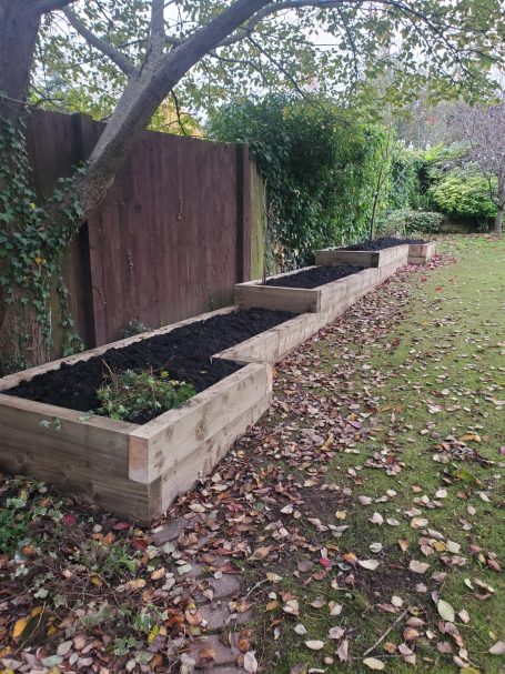 Wooden raised garden beds lined along a grassy area beneath a tree.