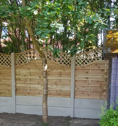 Wooden fence with decorative trellis top and a tree beside it.
